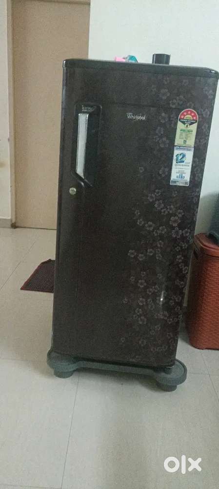 Whirlpool Single door 178 litres 5 star Refrigerator