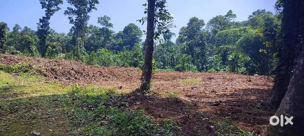 Kodugoor.10 cent house plot.1.10 .lakh.