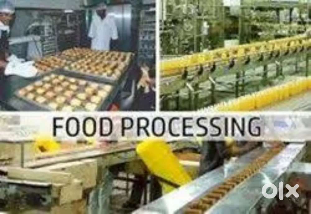 Wanted m/f billing staffs/packing staffs for food processing unit