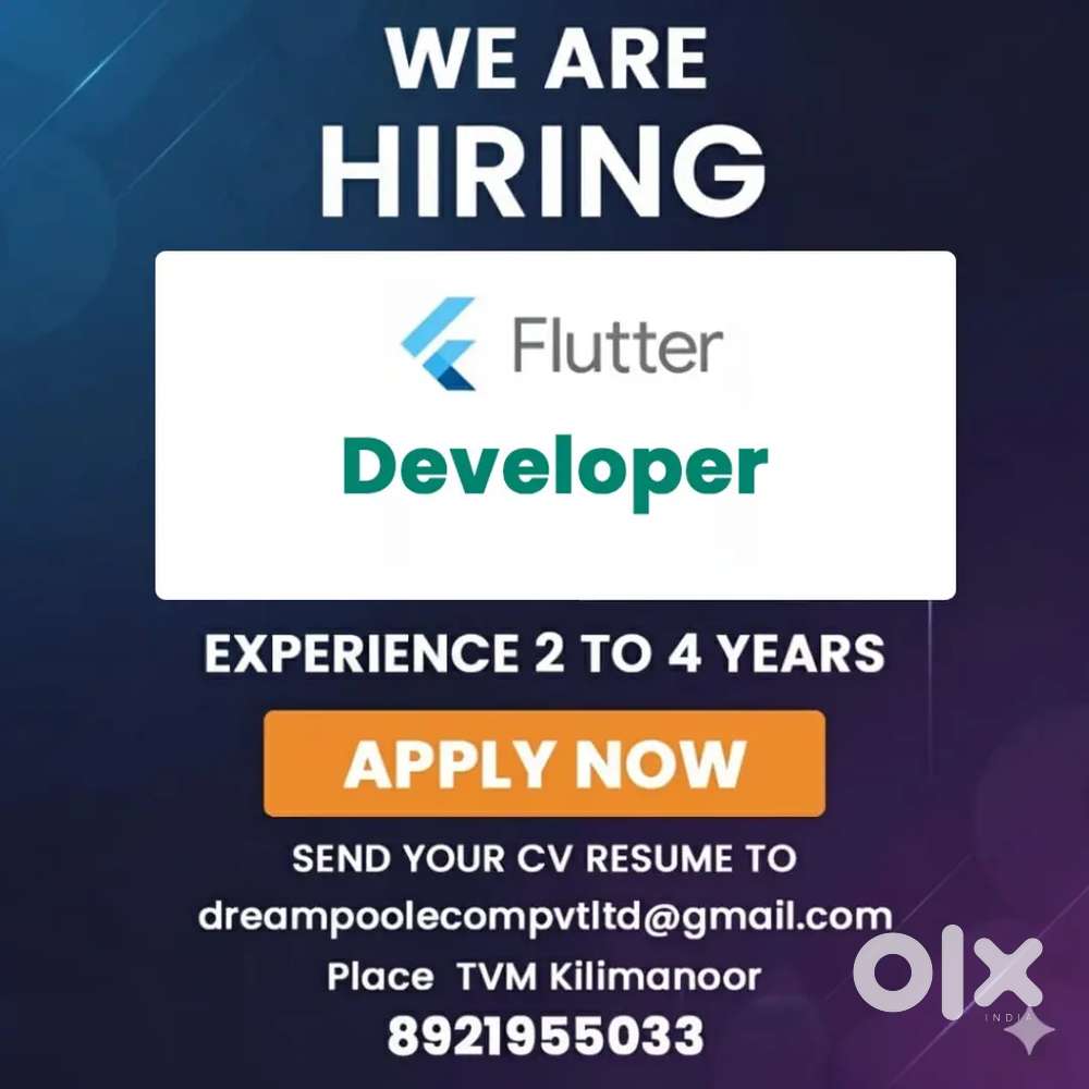 Flutter Developer