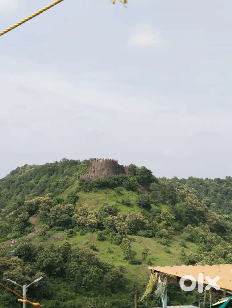 Required 100 acre agreecluter land argent