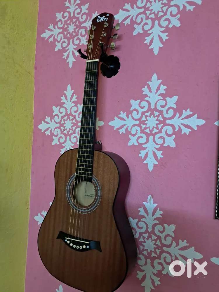 Blue Berry 34inch Travel Guite