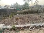 Selling plot