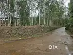 House plot for sale near konni police station