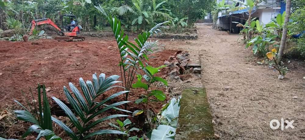 A 10 CENT LAND IN MOOKKANNOOR, 600 METER FROM MAGJ HOSPITAL, ERNAKULAM