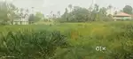 3,4,5, CENT PLOT FOR SALE THATHAPPILLY N.PARAVUR