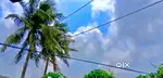 Candrapur madhapara 4gandha land sale
