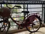 BSA - Lady Bird Cycle - Breeze model