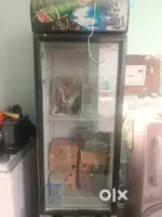 Papsi colddrink drze