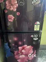 Godredge refrigerator