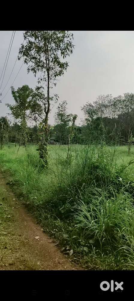 Land for lease