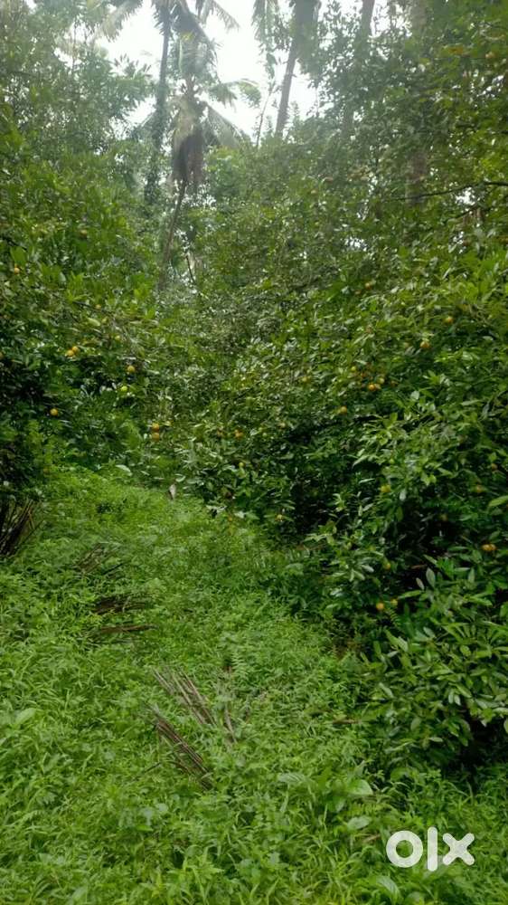 6 acres land with house