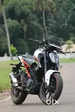 Duke 250 bs4 2019