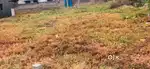Land for sale.. Arulpuram
