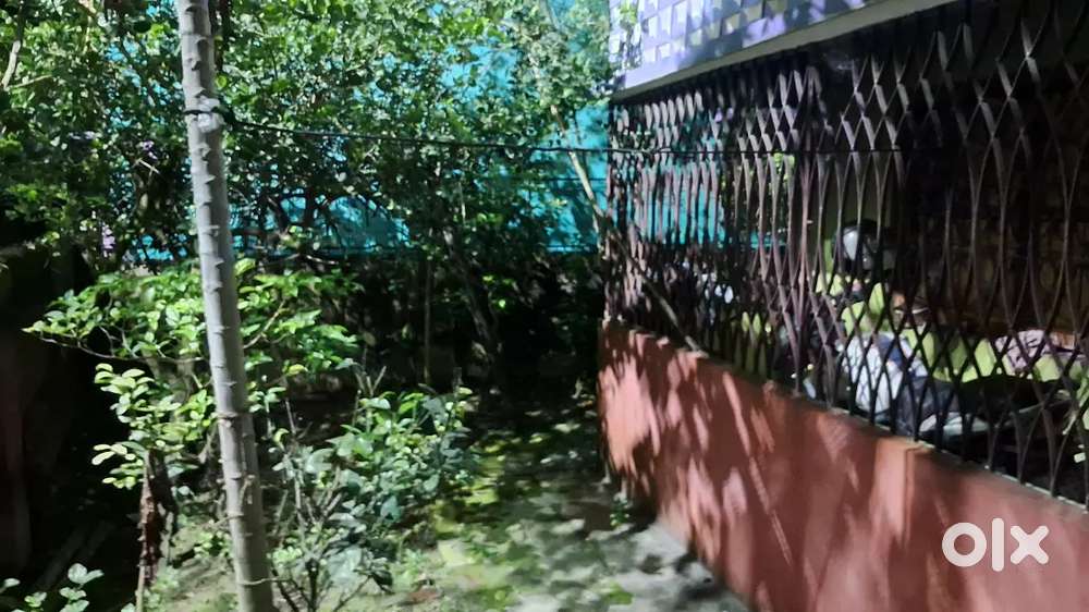 কারবালা মাঠের পাশে দোতলা বাড়ি ৩ কাঠা জমির ওপর।