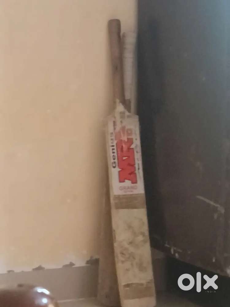 Cricket Bat