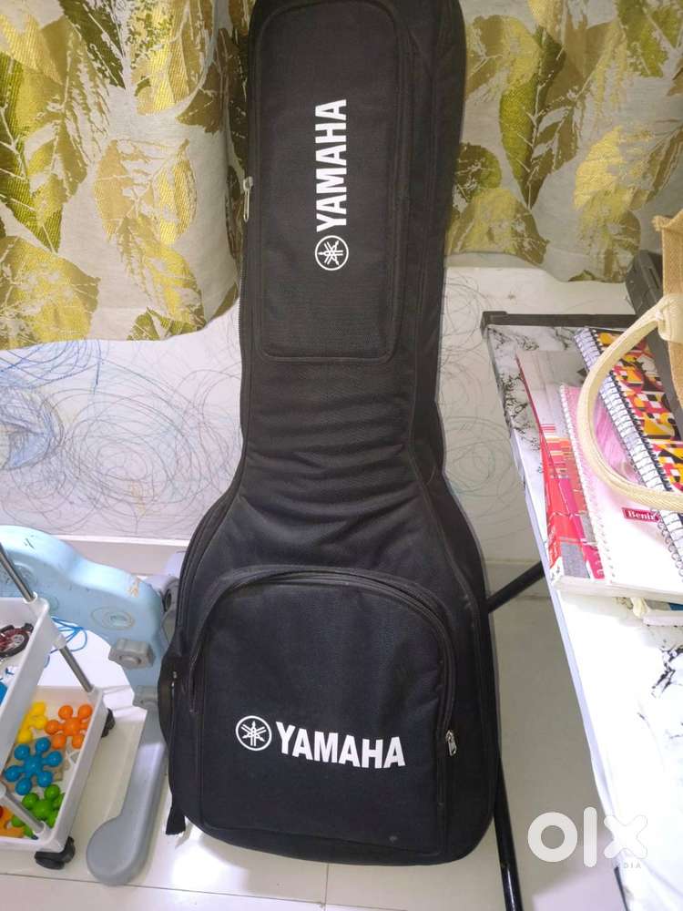 Givson Guitar with cover