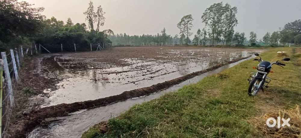 33 guntha land for sale near vaso District