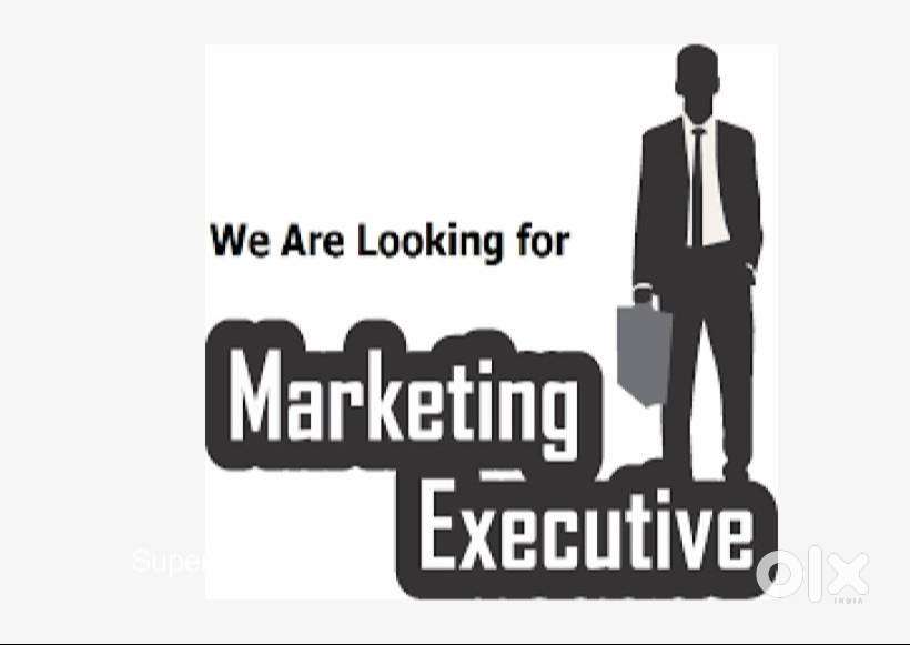 MARKETING EXECUTIVE