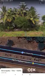 Farming land with trees