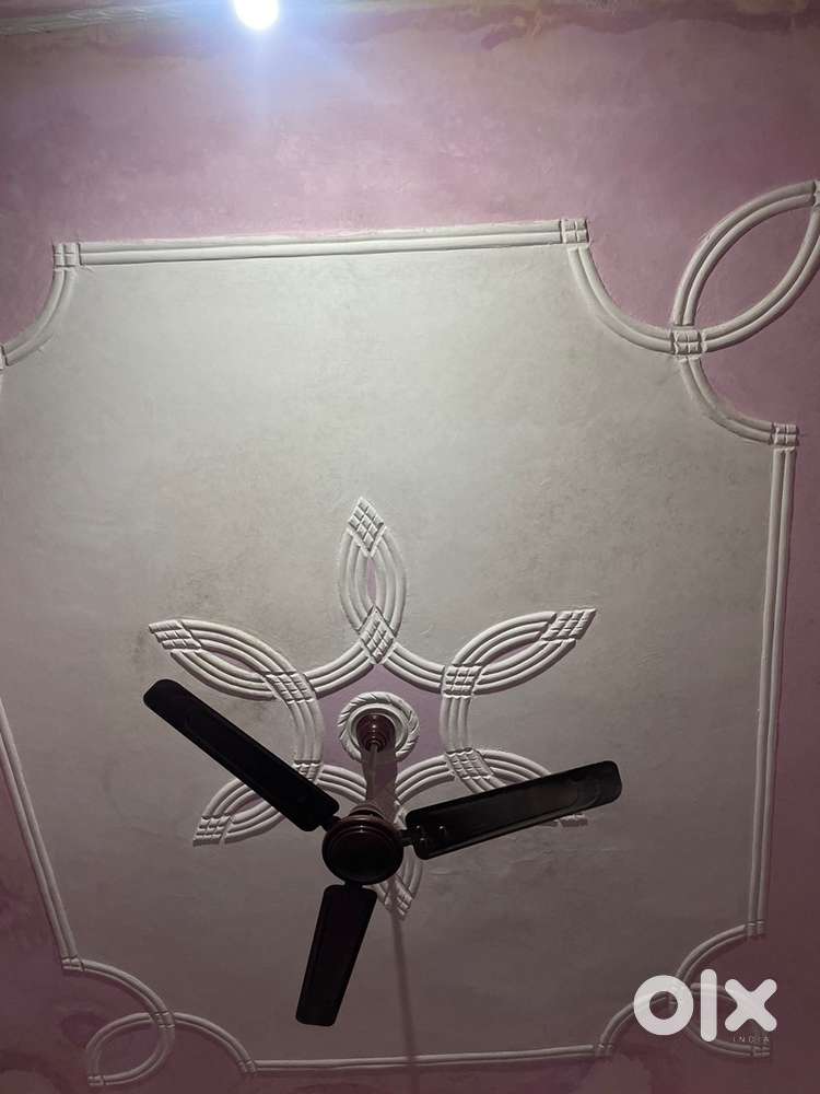 Fully house for rent indipendant, Preamnagar