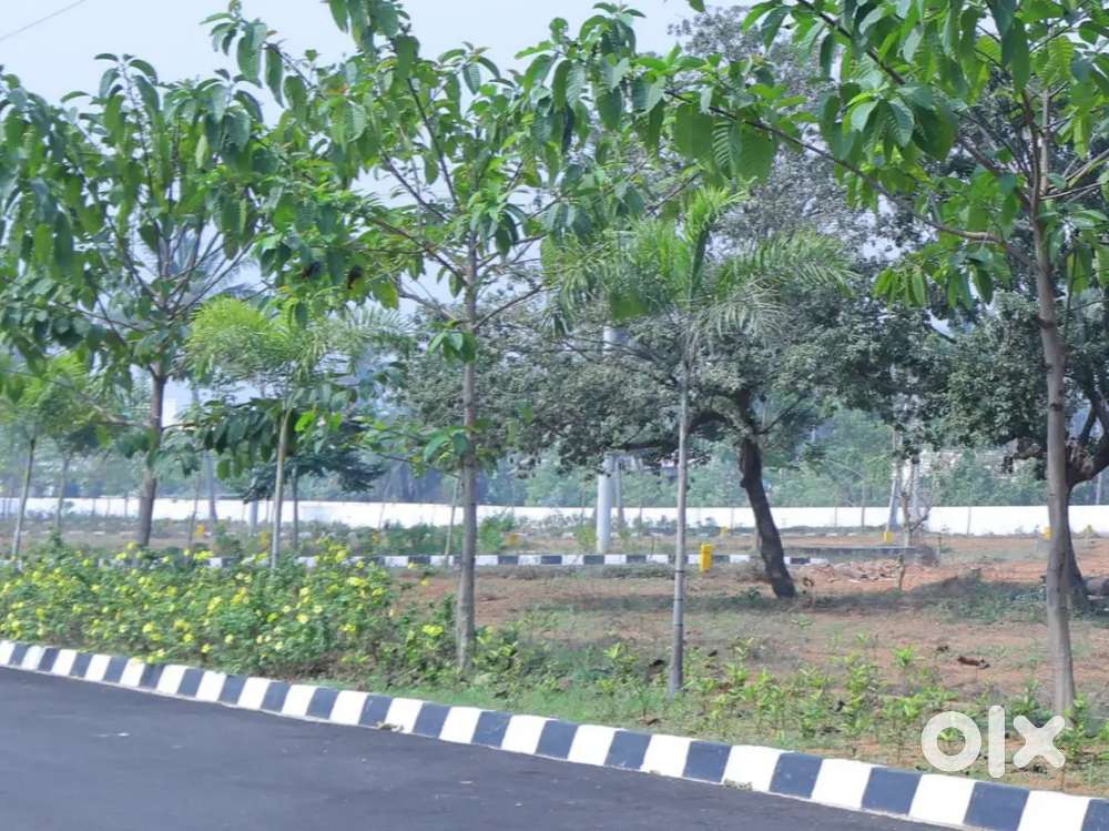 DEVELOPED LAND FOR SALE.