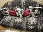 Sofa 5 seater