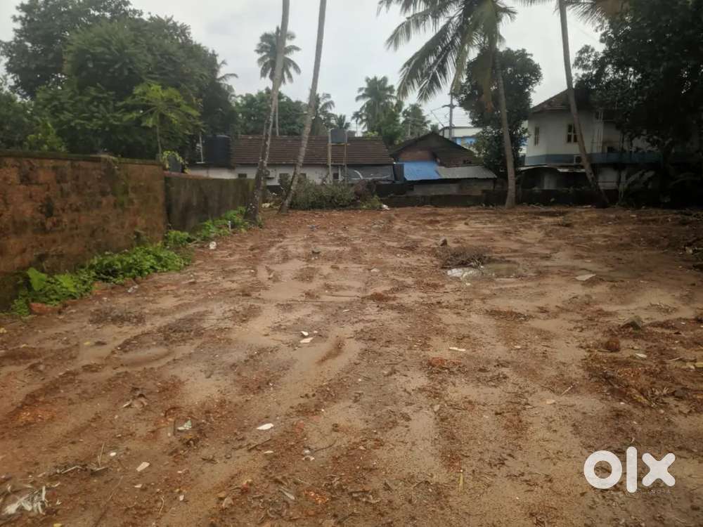 20 cent commercial plot for sale near karikkamkulam