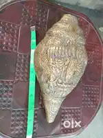 Antique sangu brass 2 kgs weight near by..