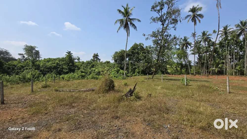 Plot area near Latembarcem