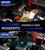 Solution for Rats in your car