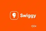Swiggy food delivery job flexible hours