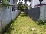 Beautiful plot for slae