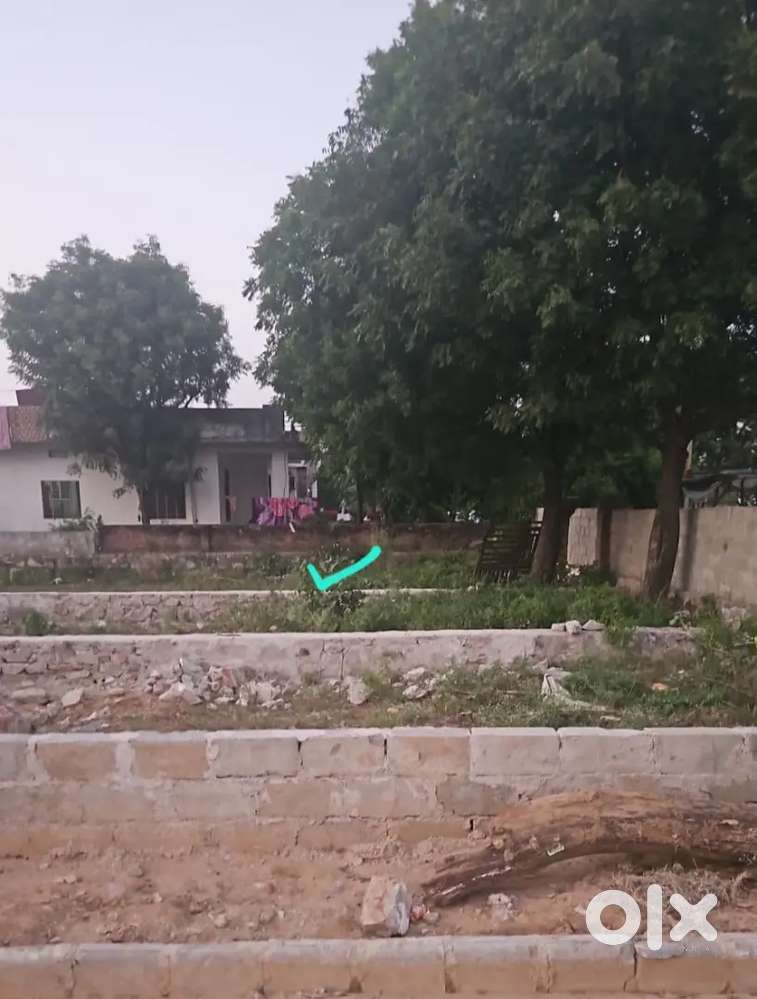 Narayan Vihar Y Block, 80 Ft Sector Road Society Plot