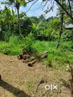 KOTTUVANCONNAM   MAVILA 18 SENT