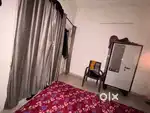 Need 1 girl room mate