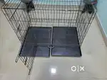 Metal wire dog crate