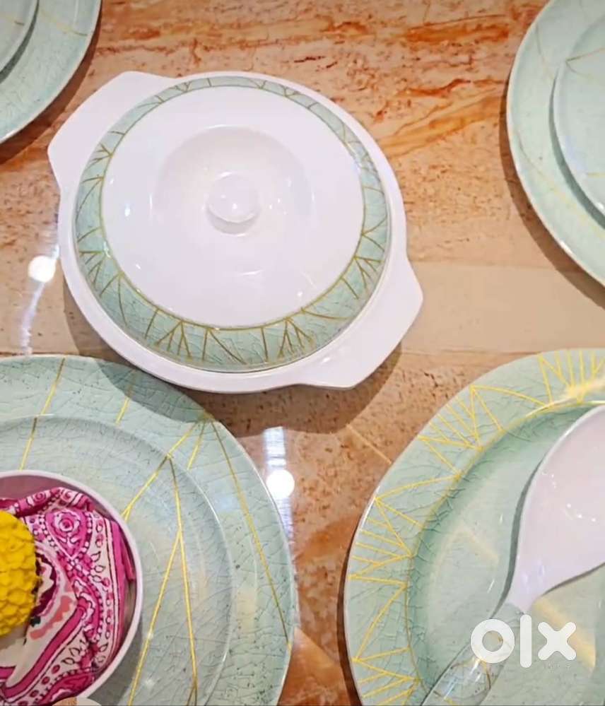 Dinner Set , Hand Blender and High Power Steam Cleaner