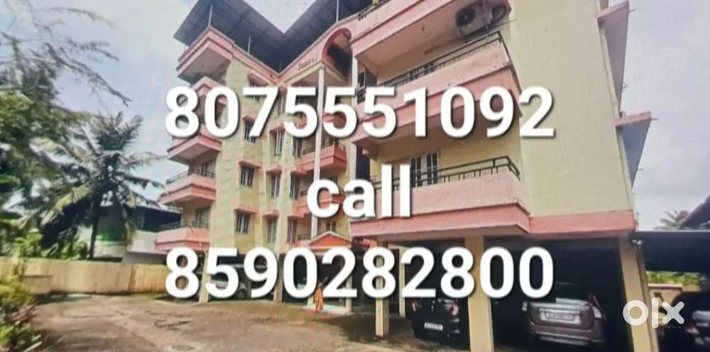 3bhk falt rent aluva company pady