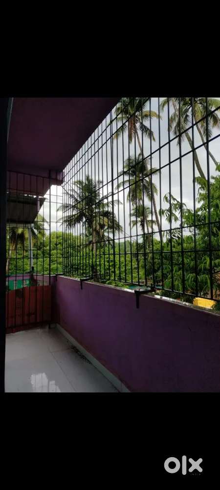 1bhk for rent