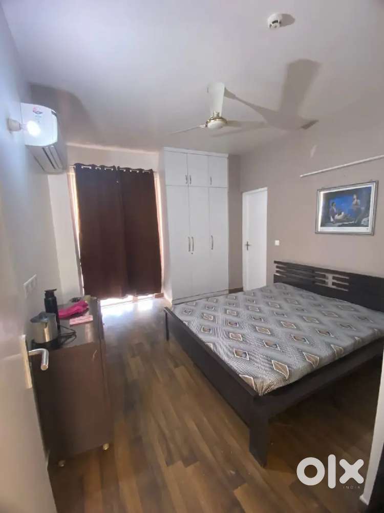 Luxurious flats and all type of Allowed