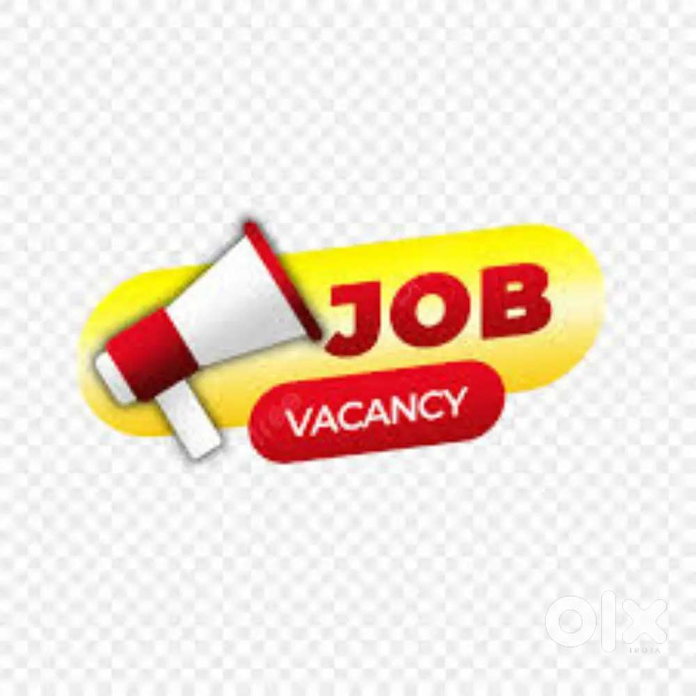 ** JOB HIRING FOR FRESHER **