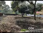 24 cents Land (Purayidom) at Puthenpaly-Varapuza, 8km fm Lulu EDAPALY