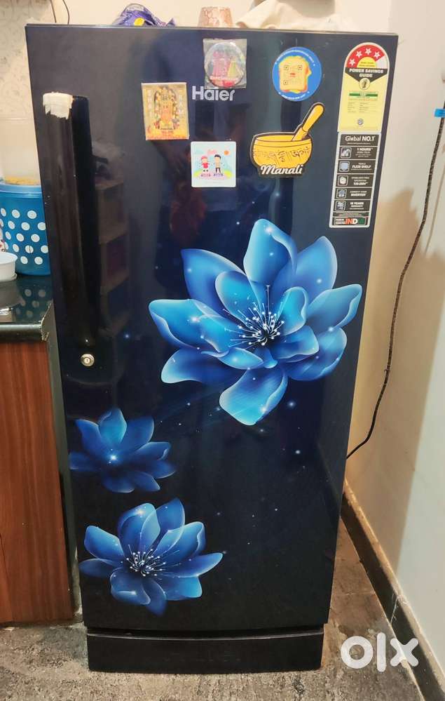 Haier 190 L Direct Cool Single Door 4 Star Refrigerator with Base Draw
