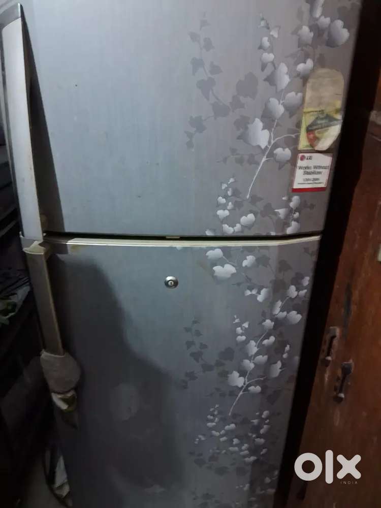 Lg double door fridg3