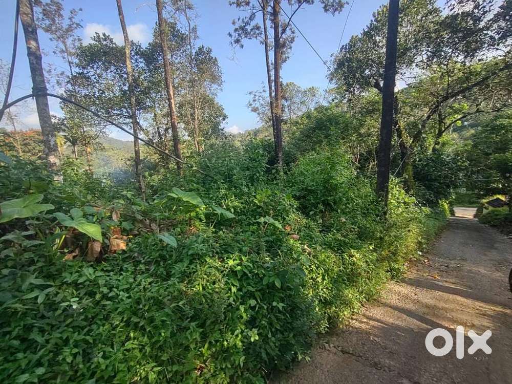 Land For Sale In Kanjikuzhy (Idukki)