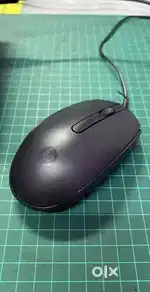 RAM and MOUSE