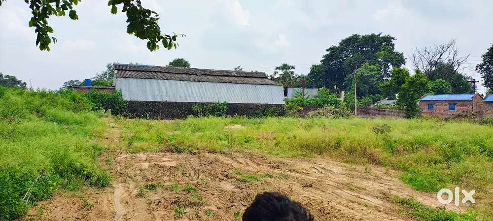 G.T Road facing plot
