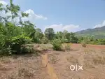 Orchard plot for sale