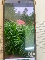 Running Agriculture farm for sale
